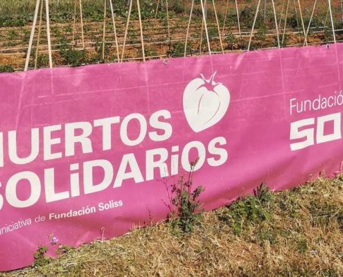 Los-huertos-de-la-Fundación-Soliss-amplían-su-variedad-de-productos-con-la-temporada-primaveral