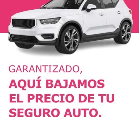 Encontrar el Seguro de Coche Más Barato