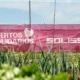 Huertos Solidarios