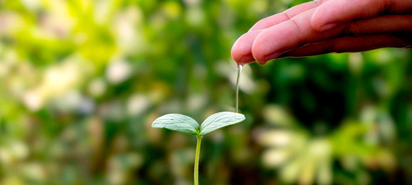 Seguro de responsabilidad medioambiental