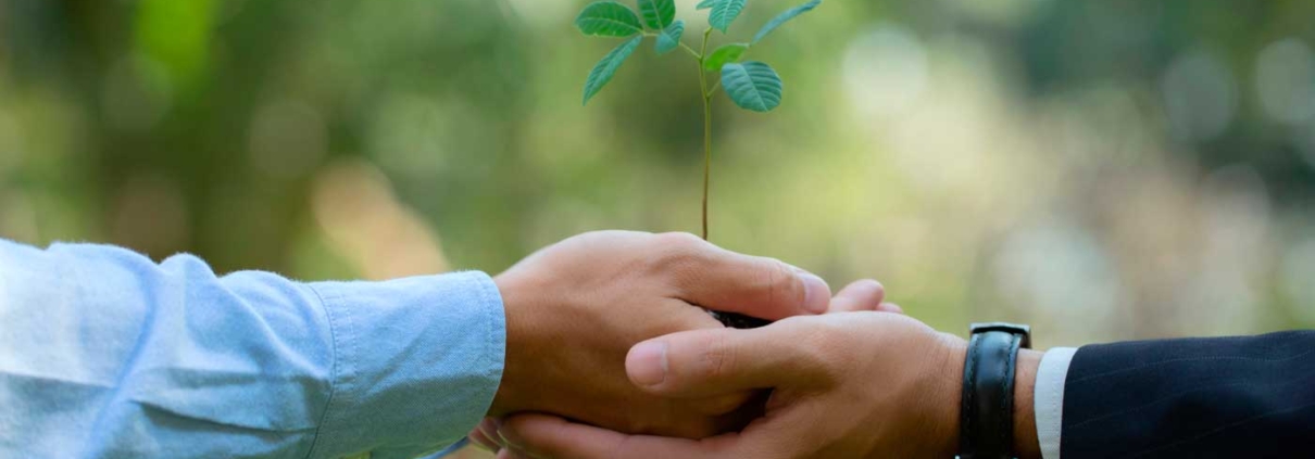 Seguro de responsabilidad medioambiental