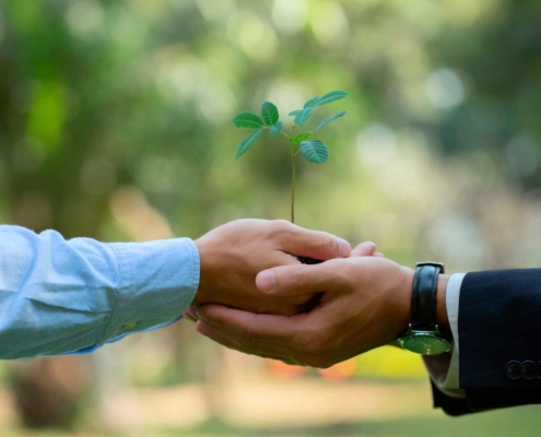 Seguro de responsabilidad medioambiental