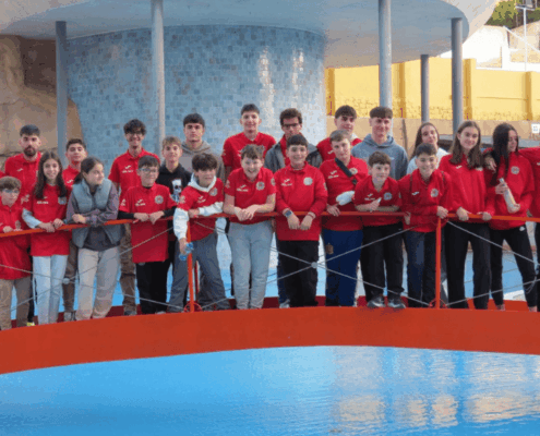 club de ajedrez Bargas-Soliss