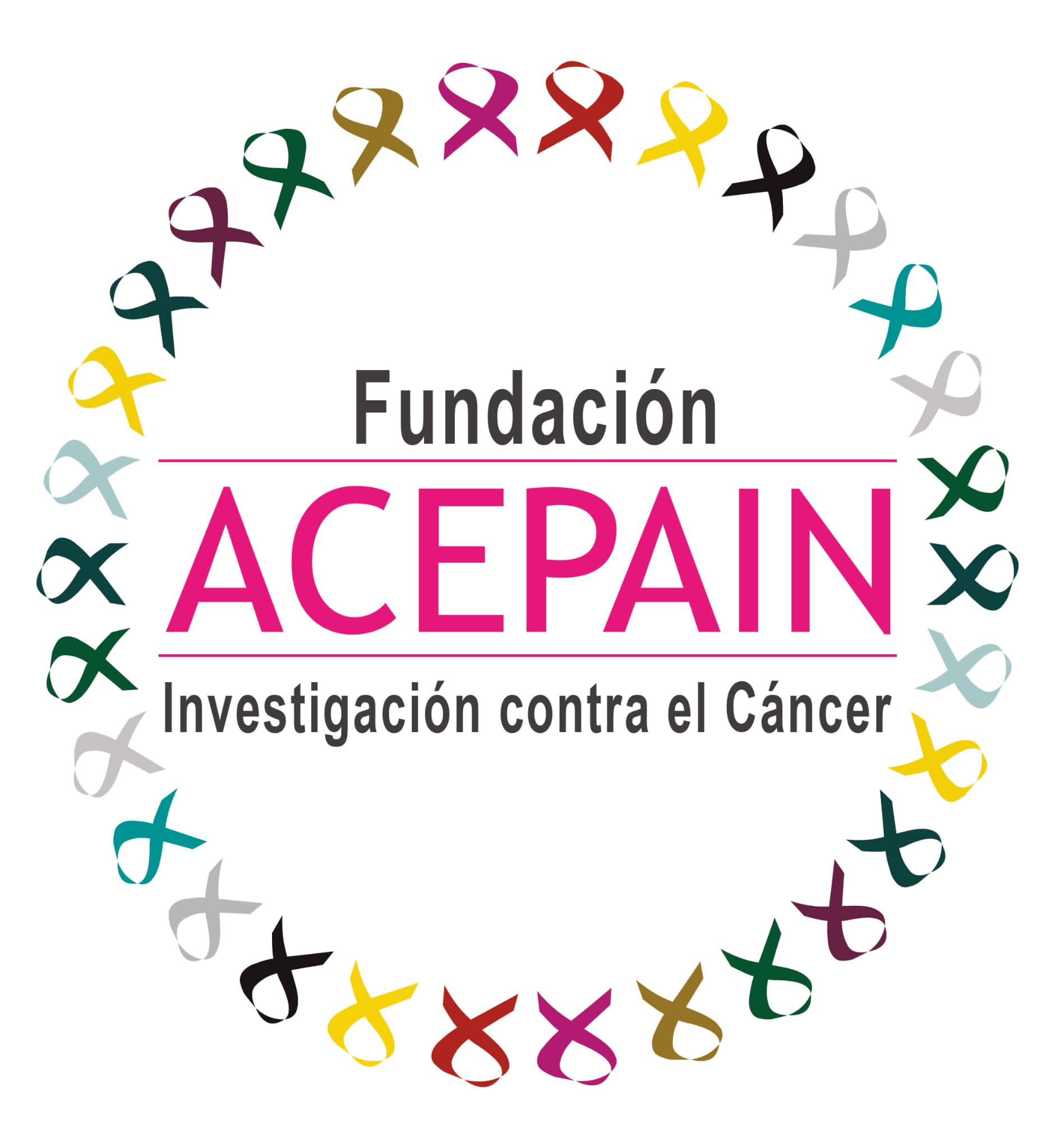 Fundación ACEPAIN